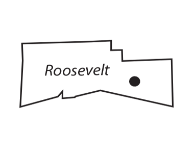 Roosevelt County Map